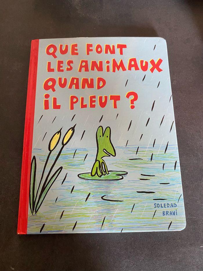 Livre que font les animaux quand il pleut