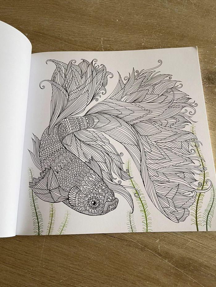 Livre de coloriage The aquarium - photo numéro 3