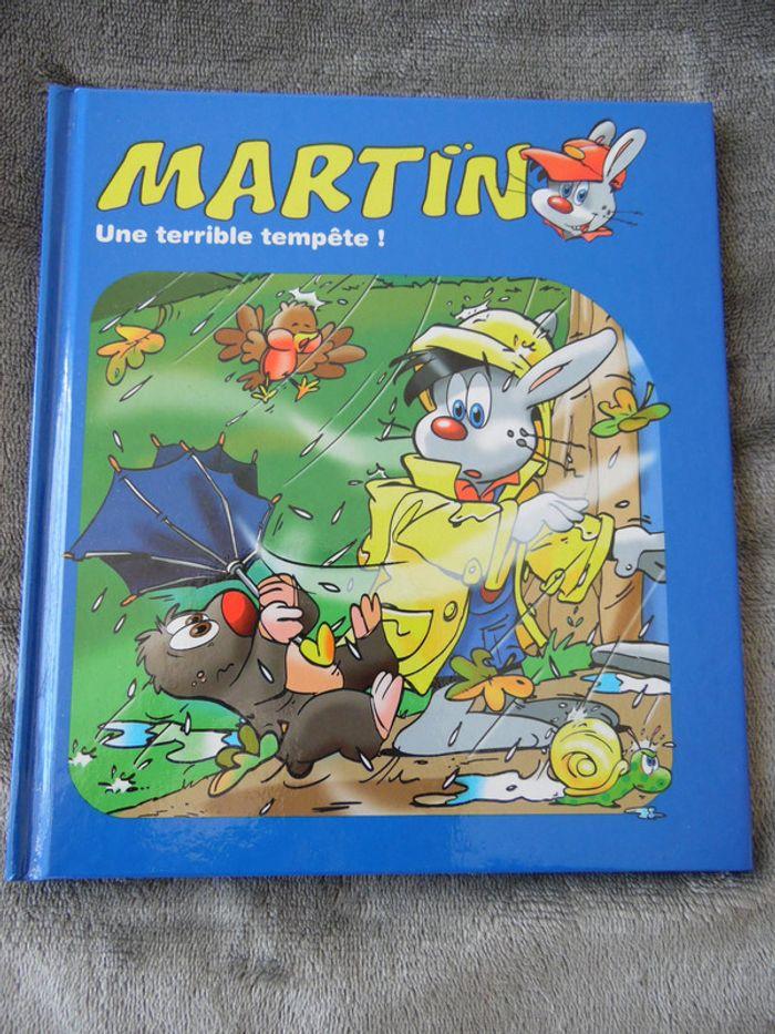 Livre "Martin, une terrible tempête!" - photo numéro 1