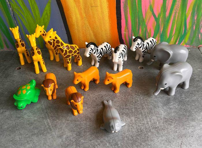 Animaux de la savane playmobil  123