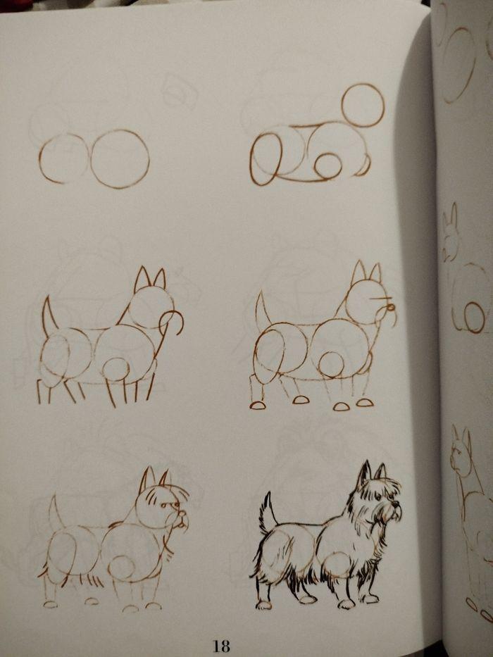 Apprendre à dessiner 59 animaux - photo numéro 2