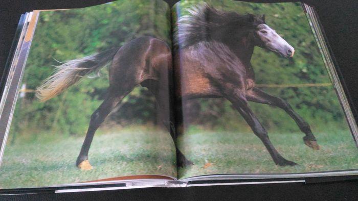 Livre sur les chevaux - photo numéro 2