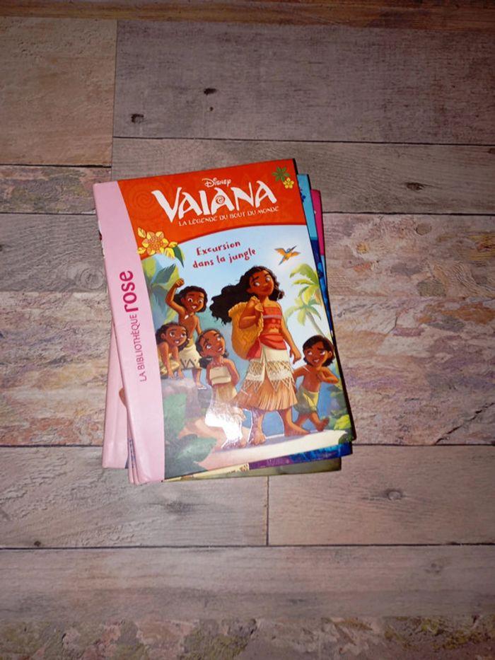 Lot de livres bibliothèque rose vaiana - photo numéro 5