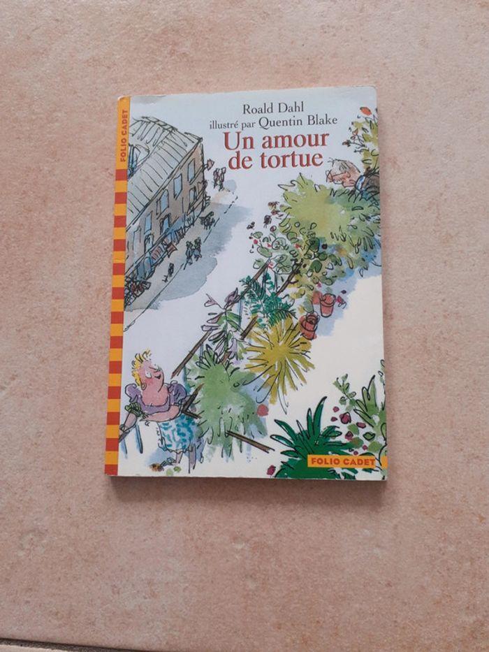 Le livre un amour de tortue - photo numéro 1