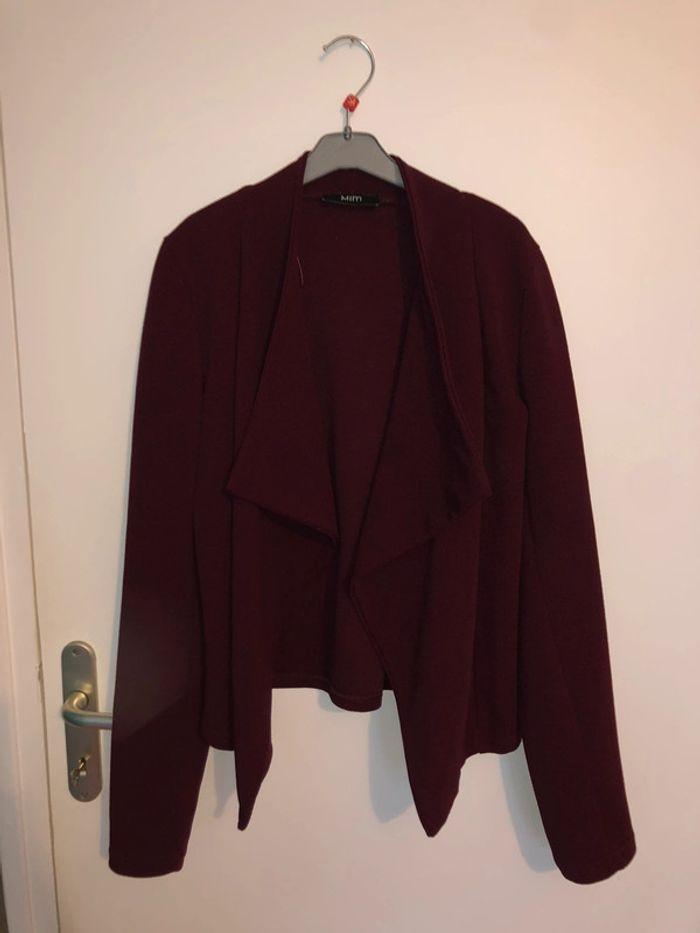 Blazer bordeaux - photo numéro 1