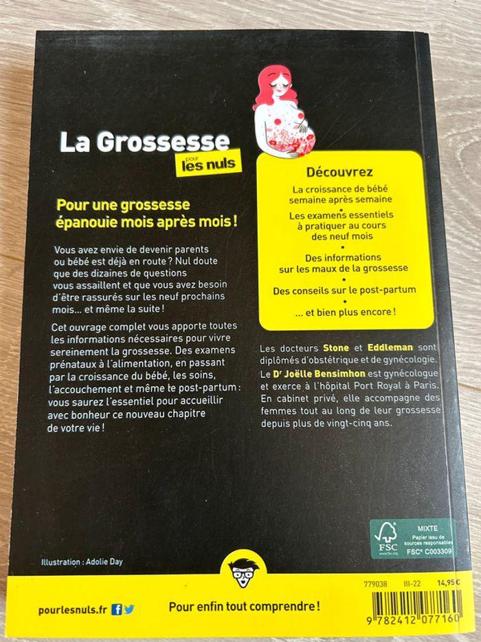 La grossesse pour le Nul - photo numéro 2