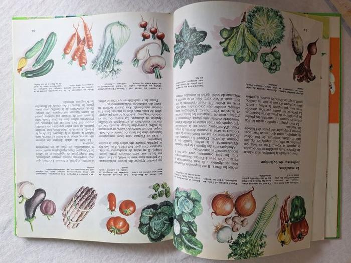 Livre "Les plantes en couleurs" - photo numéro 2