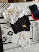 Lot tee shirt winny