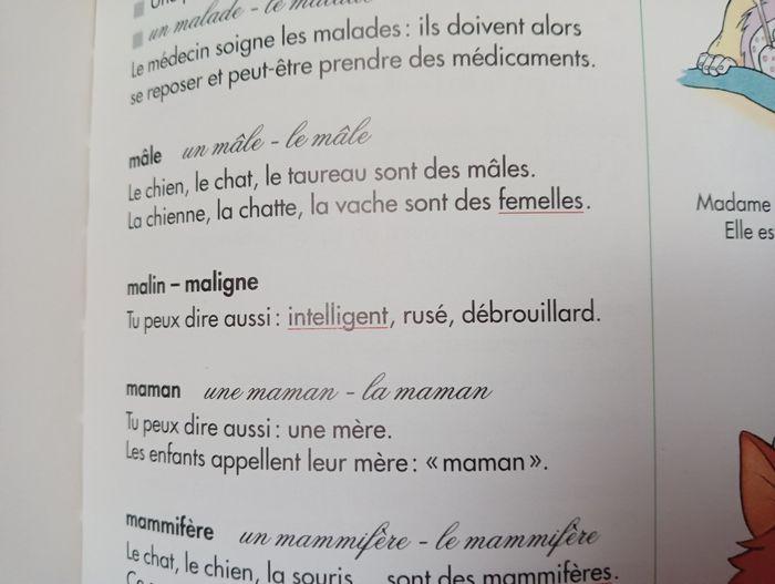 dictionnaire - photo numéro 4