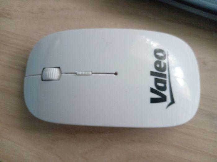 souris Valeo - photo numéro 1