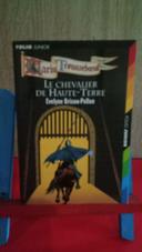 Garin Trousseboeuf Tome 7 : le chevalier de Haute-Terre (folio junior)