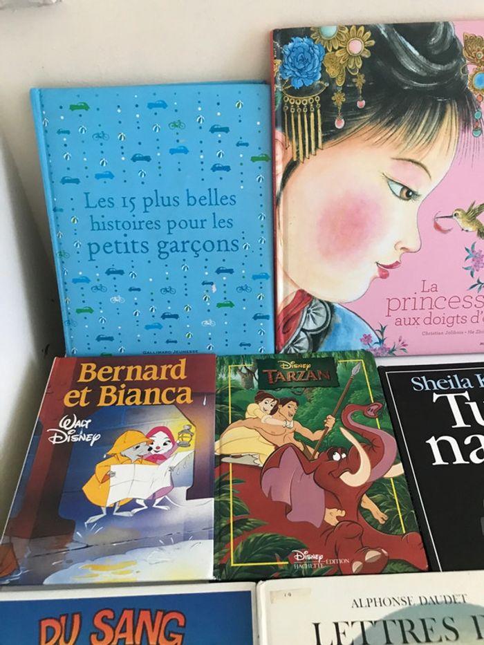 Livres enfant /Ados - photo numéro 2