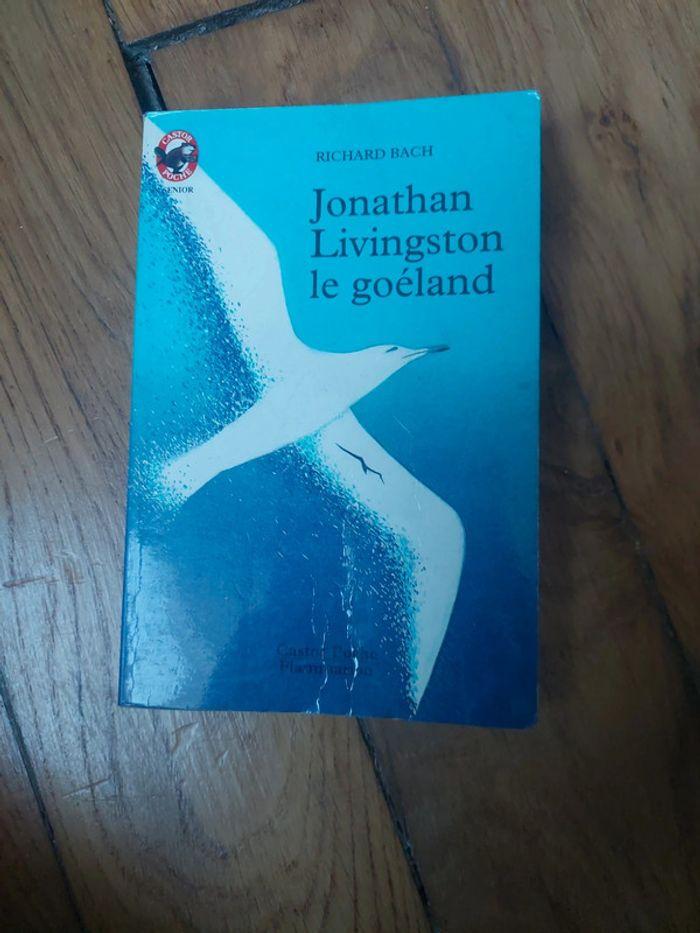 Jonathan Livingston - photo numéro 1