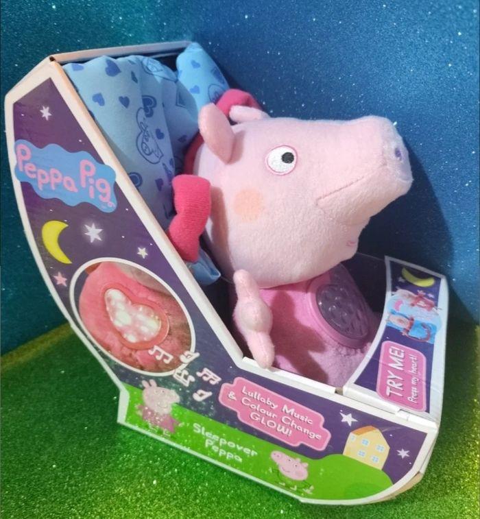 Peppa sleepover - photo numéro 2