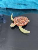 Figurine Tortue de Natation a Piles Splash