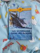 Un hivernage dans les glaces