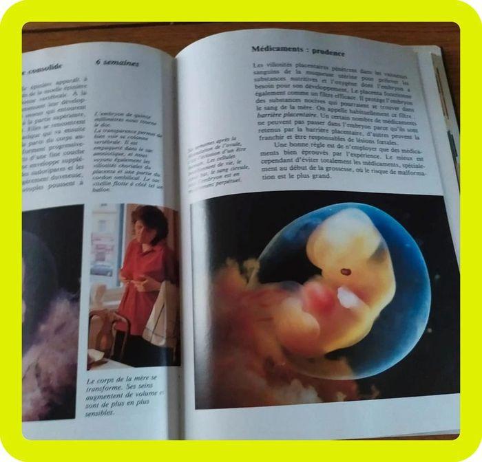 Livre bébé - photo numéro 3