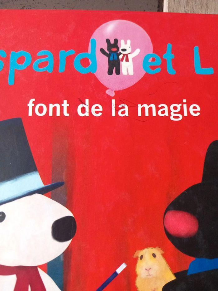 Livre enfant "Gaspard et Lisa font de la magie" - photo numéro 3