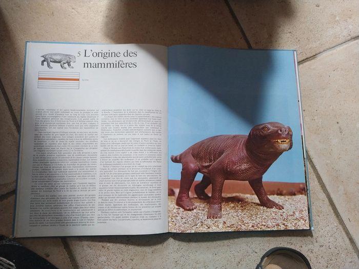 Les animaux prehistoriques l extraordinaire histoire de la vie avant l'homme - photo numéro 2