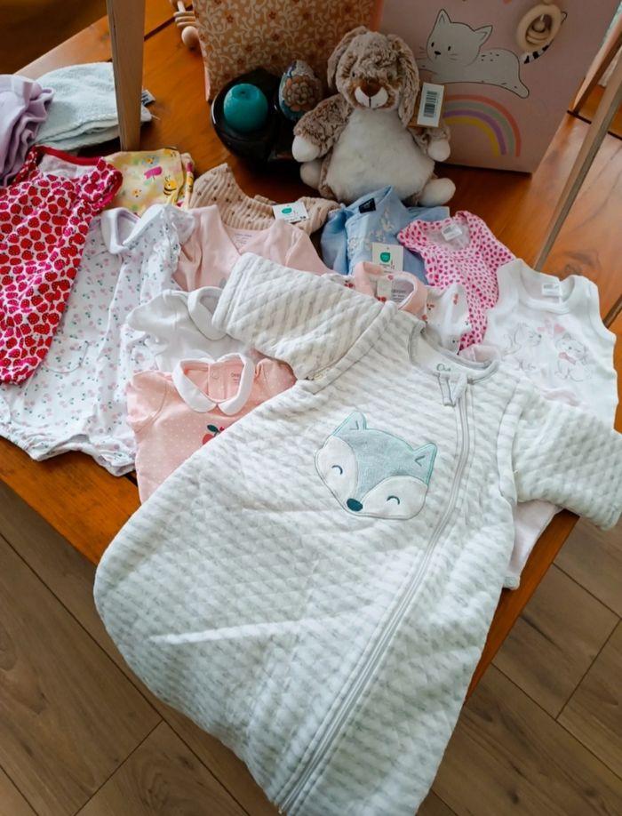 Lot de vêtements bébé + Porte bébé offert 🩷 - photo numéro 1