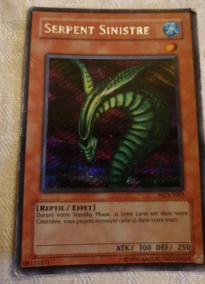 Serpent sinistre