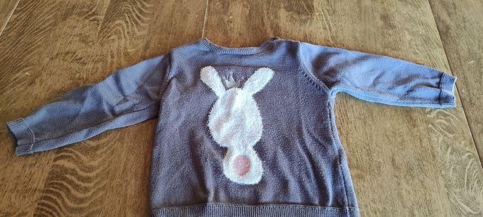 Petit pull lapin 12 mois - photo numéro 1