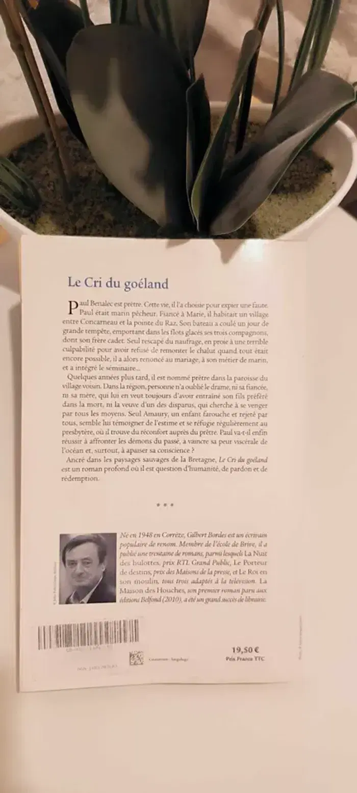 livre Le Cri Du Goéland - gilbert bordes en tres bon etat - photo numéro 2