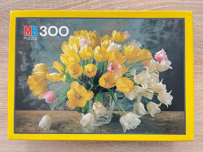 Puzzle MB 300 pièces - photo numéro 1