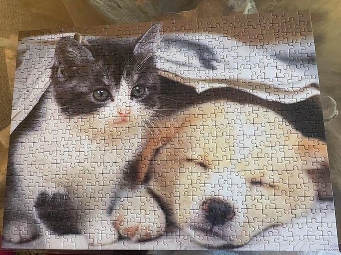 Puzzle chat et chien - photo numéro 3