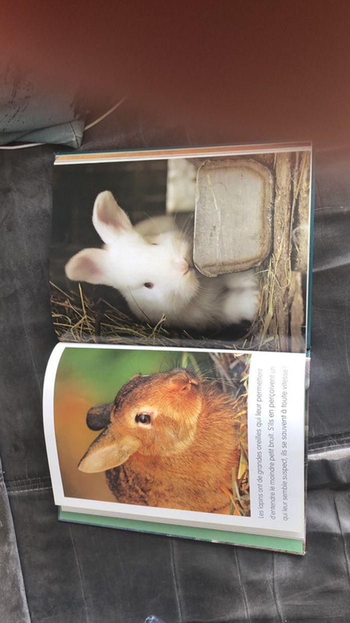 Livre les animaux de la ferme - photo numéro 2