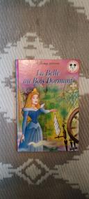 Livre la belle au bois dormant disney