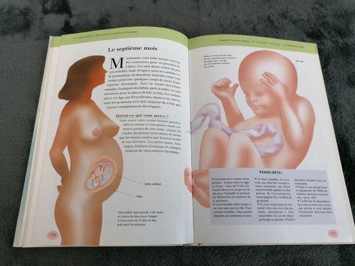 Livre L'encyclopédie de la grossesse - photo numéro 3