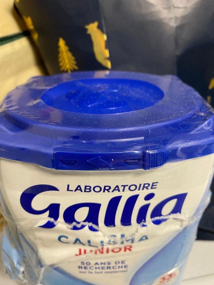 Gallia 4 - photo numéro 2