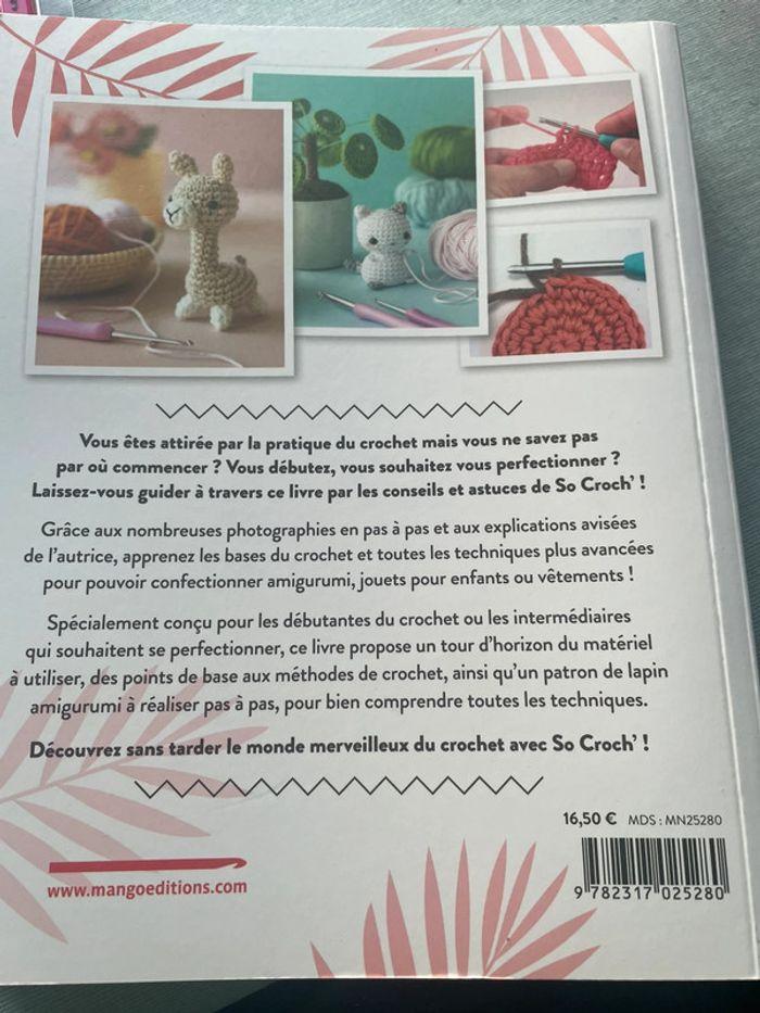 Je débute le crochet - photo numéro 3