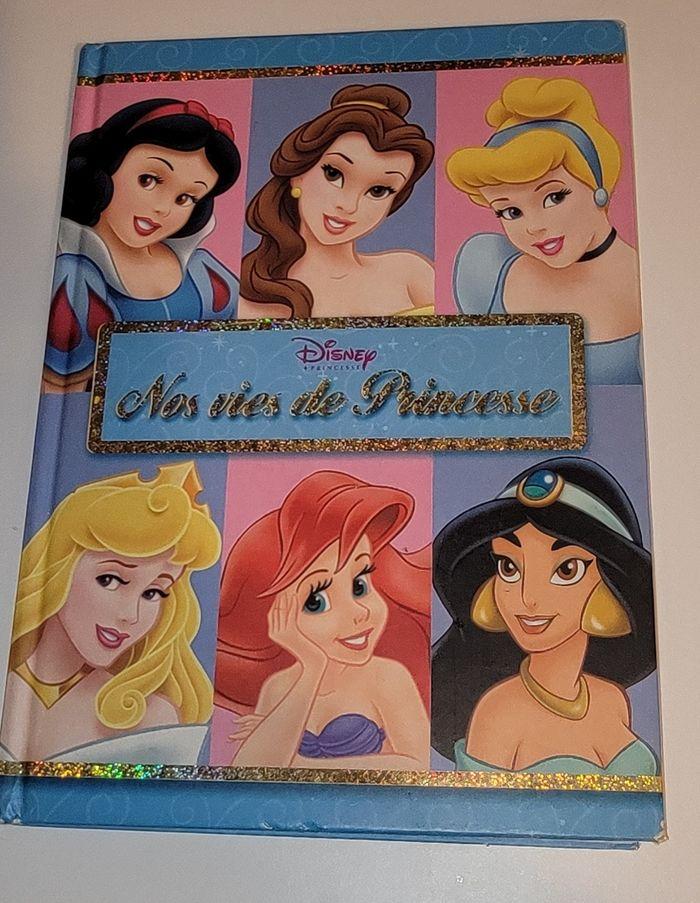 Livre nos vies de princesses - photo numéro 1