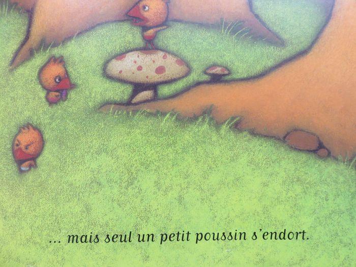 Album jeunesse 3-5 ans : Six petits poussins (Père Castor) - photo numéro 8