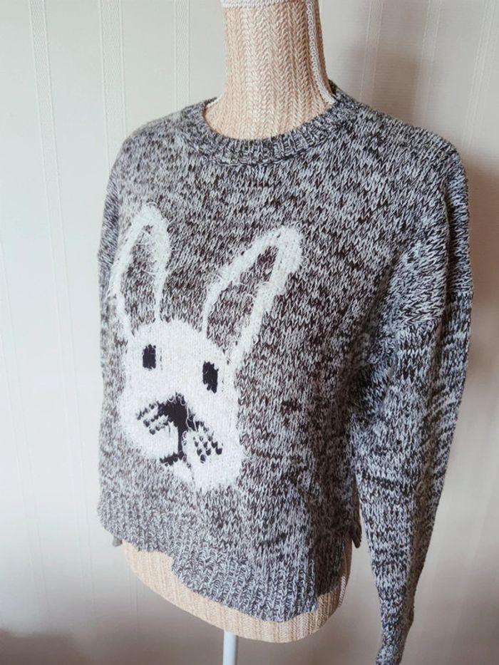 Pull imprimé taille 38/40 🐰🩶 - photo numéro 1