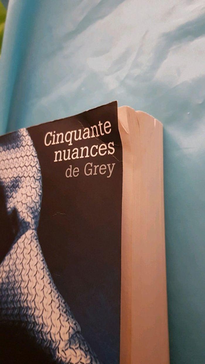 Cinquantes nuances de grey - photo numéro 3