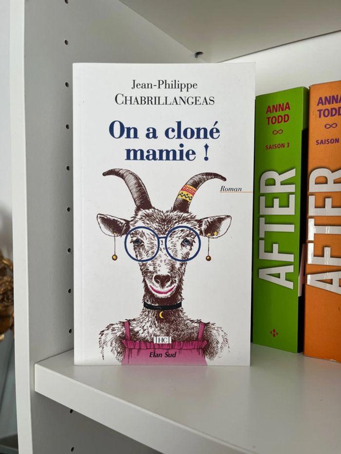 On a cloné mamie ! - photo numéro 1