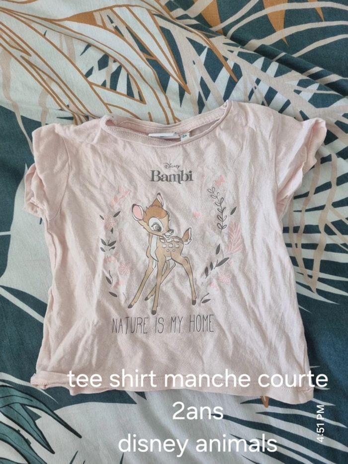 Tee shirt MC 2ans