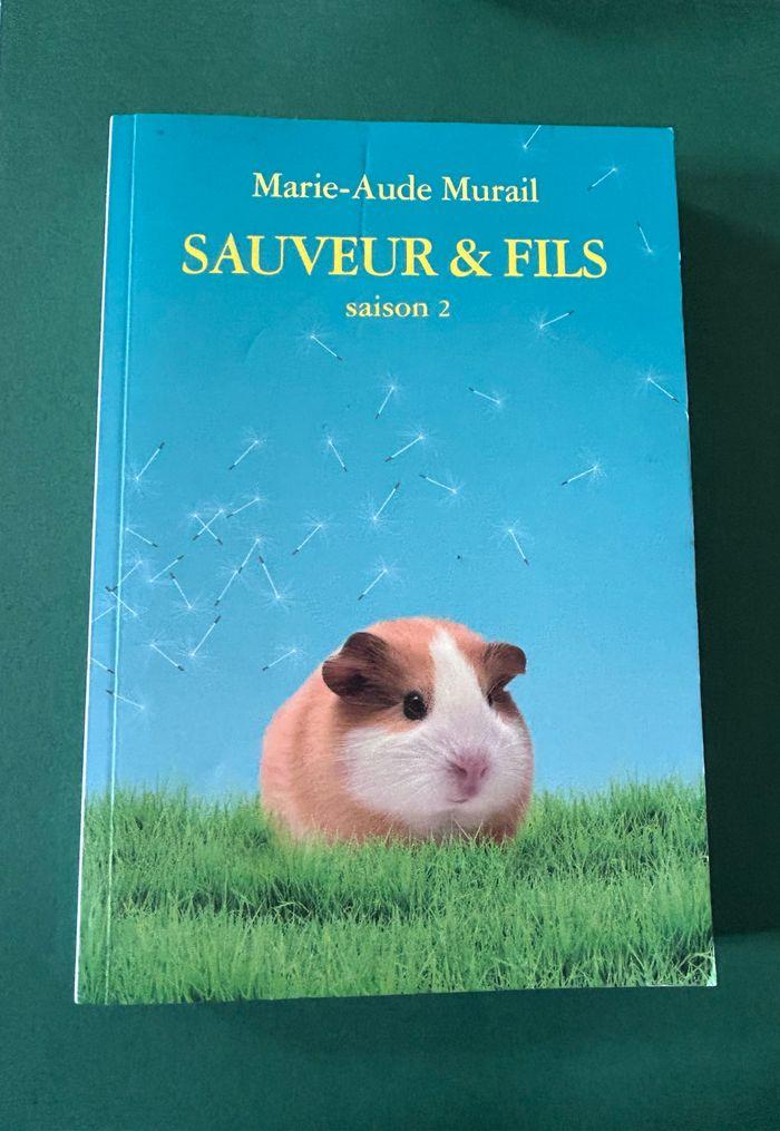 Sauveur et fils, saison deux - photo numéro 1