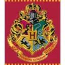 Plaid polaire Harry Potter neuf