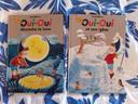 Lot 2 livres oui oui décroche la lune et son igloo