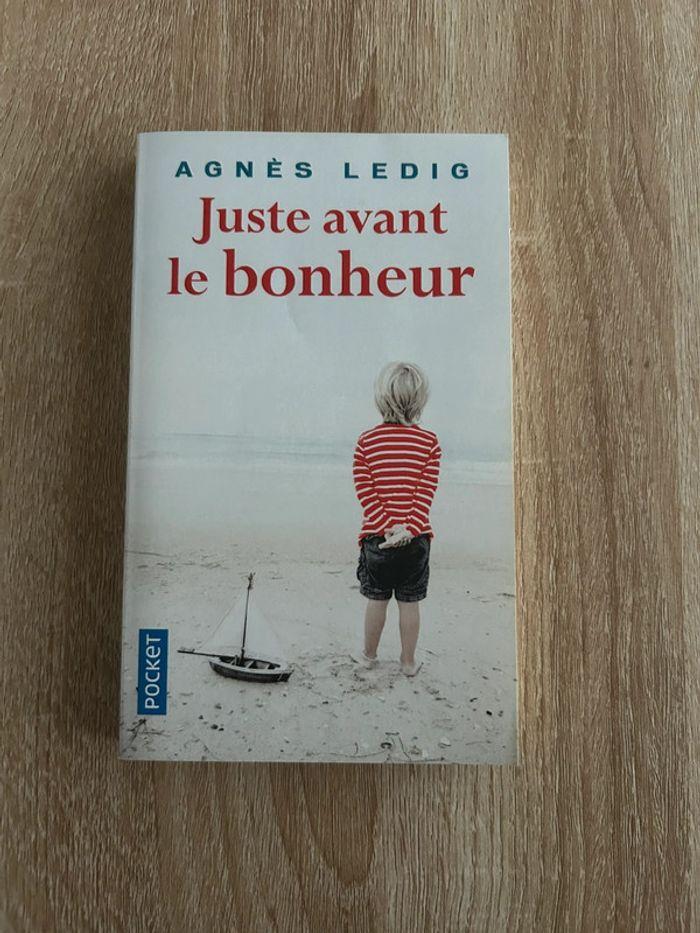 Livre juste avant le bonheur de Agnès Ledig - photo numéro 1