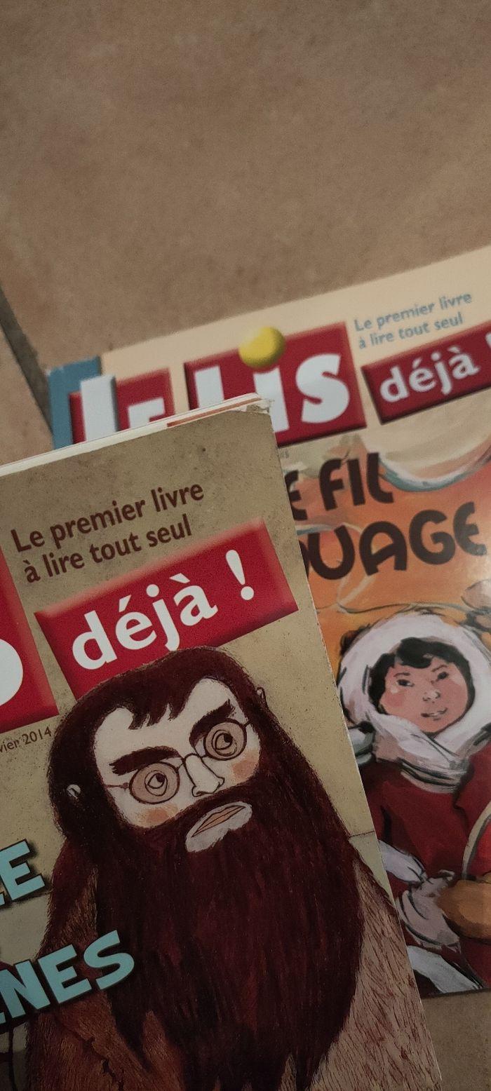 Lot 2 livres "je lis déjà" - photo numéro 3