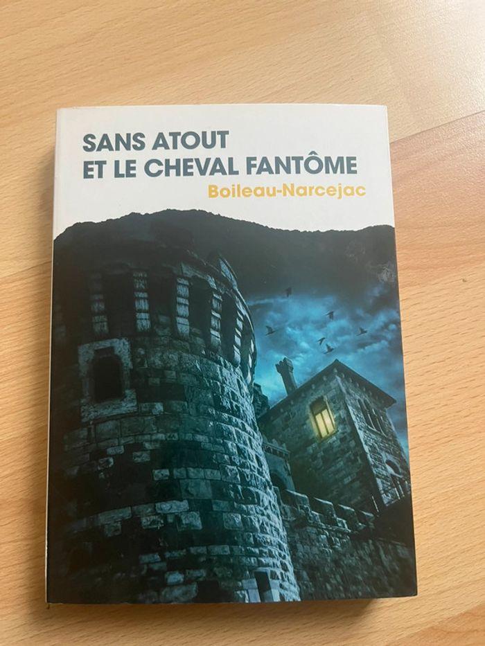 Livre sans atout et le cheval fantôme - photo numéro 1