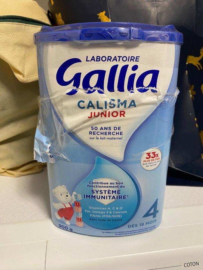 Gallia 4 - photo numéro 1