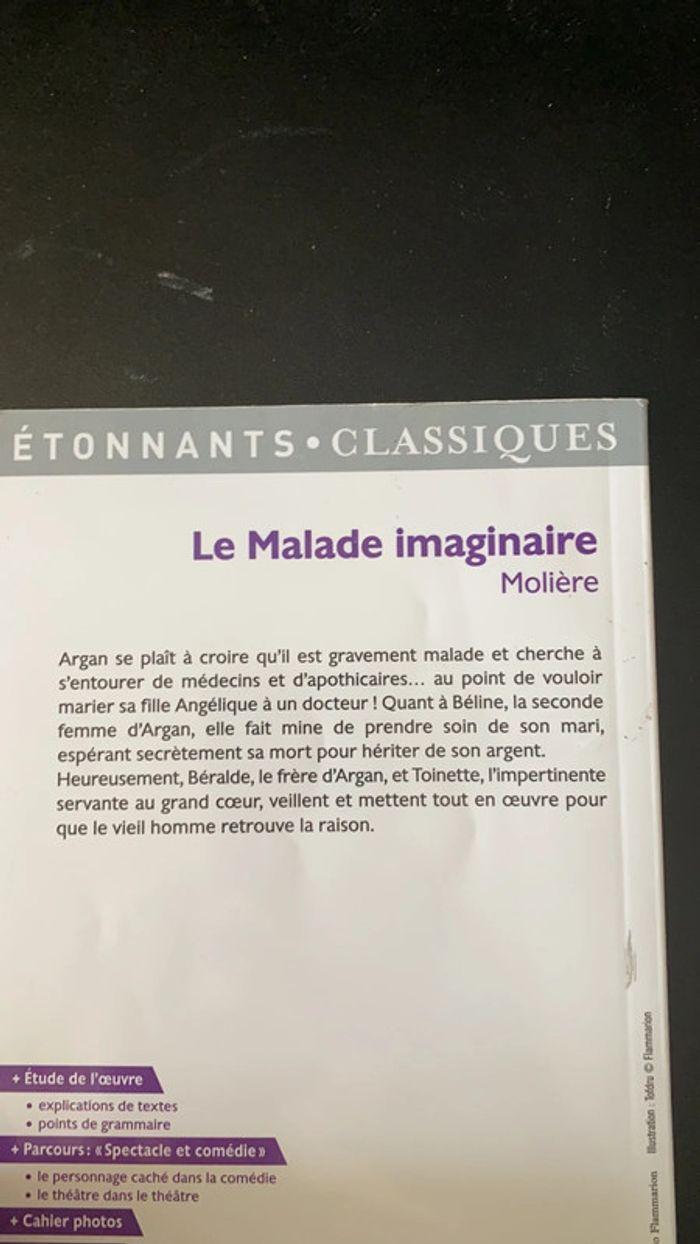 Le malade imaginaire - photo numéro 2