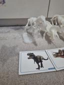 Coffret montessori dinosaures + dino fluo