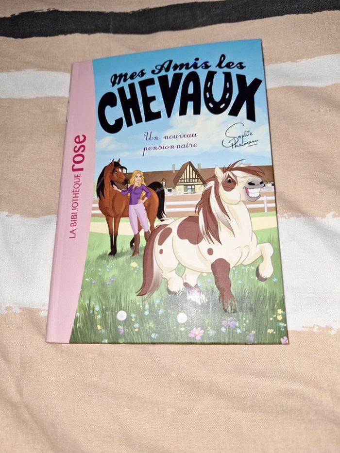 Livre Mes amis les chevaux - photo numéro 1